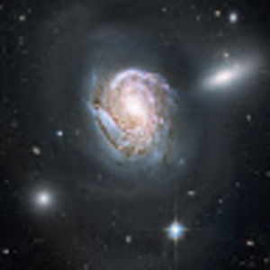 Meet your Posher, Shaun